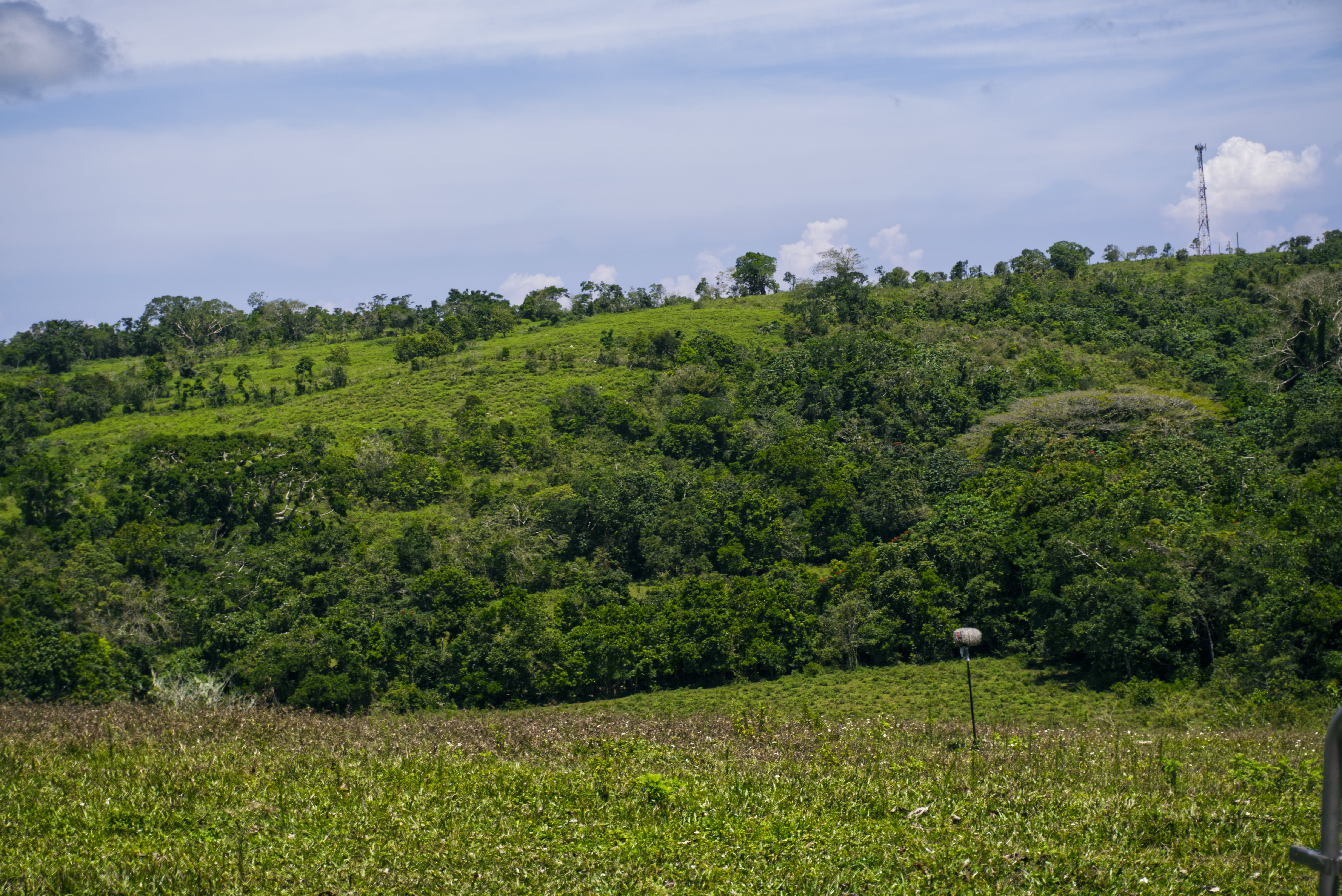 Microphone on a stand in an open field below green hills